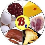B2 B2 -Vitamine für das Gehirn